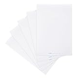 Landre Flipchart-Papier, blanko, 20 Blatt je Block, 5er Pack