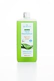 SETASAN premium Handdesinfektion 1.000 ml – Desinfektionsmittel mit Aloe Vera und...