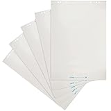 Landre Flipchart-Papier recycling, blanko, 20 Blatt je Block, 5er Pack