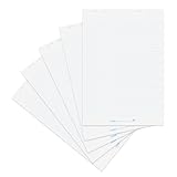 Landre Flipchart-Papier recycling, kariert, 20 Blatt je Block, 5er Pack