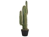 Beliani Kaktus Kunstpflanze grün 78 cm schwarzer Blumentopf Indoor Cactus