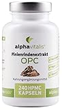 500 mg Pinienrindenextrakt Kapseln mit OPC + natürliches Vitamin C - ohne...