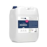 BEULCO CLEAN - Desinfektionsmittel für Oberflächen 5 Liter Kanister (ohne Alkohol) -...