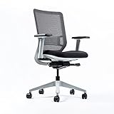 Yaasa Chair Ergonomischer Bürostuhl gegen Rückenschmerzen | integrierte Lordosenstütze...