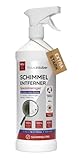 hauszauber - Schimmelentferner [EXTRA STARK] 500 ml - Anti-Schimmelspray mit Aktivchlor...