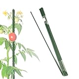 KARAT Rankhilfe Pflanzstab 150cm 10 Stück, für Kletterpflanzen, Tomaten, Gurken oder...