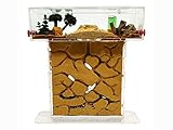 ANTHILLSHOP Natürliche Ameisenfarm aus Sand - Acryl T Kit 15x15x1,5cm【Ameisen kostenlos...