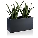 DECORAS Pflanztrog Blumentrog VISIO Fiberglas Blumenkübel - Farbe: anthrazit matt -...