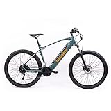 TRETWERK - 27,5 Zoll E-Bike Mountainbike - Bolt 7 grün - Pedelec Mountainbike mit 27 Gang...