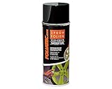 Foliatec Sprühfolie Versiegler Spray Versiegelung zum dauerhaften Versiegeln der Sprüh...