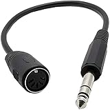 Bumdenuu MIDI-Kabel, 5-polige DIN-Buchse auf 6,35 mm (1/4 Zoll) Audio-Verlängerungskabel,...