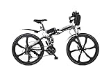 Fine Life Pro E-Bike Elektrofahrrad 26' Fat Tire E-Fahrrad klapprad, 250W/36V, 12.5AH...