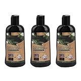 100 Ml Haarfärbe-Shampoo, 3 Stück, Sofortiges Haarfärbe-Shampoo, Deckt Graues Haar ab,...