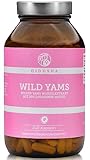 QIDOSHA® Wild Yams Wurzelextrakt, 240 Stk/Glas, 1000mg Wilder Yams Wurzelextrakt mit...