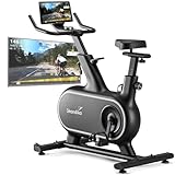 Skandika Heimtrainer Fahrrad Cykling P12-H | 32 Stufen, Premium EMS Bremssystem, App...