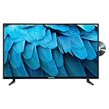 MEDION E14080 (MD 30224) 100,3 cm (40 Zoll) Full HD Fernseher (integrierter DVD-Player,...