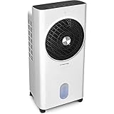 TROTEC Aircooler PAE 31 mobiler Luftkühler, 3-in-1 Luftkühler, Luftbefeuchter und...