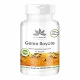 Gelée Royale Extrakt 500mg - 90 Kapseln, 4-fach konzentriert aus 2000mg Gelée Royale -...