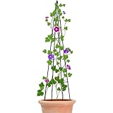 Kleine Rankhilfe Für Topfpflanzen,Rankhilfe Für Kletterpflanzen Und Blumen | Blumen...