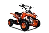 KXD M6 6' 49ccm 2T Mini ATV Kinderquad Sportquad Pocketquad grün