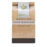 Kräutertee Fucus vesiculosus 250 GRS (Blasentang) Thallus Fucus vesiculosus