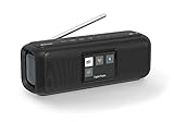 Karcher DAB Go tragbarer Bluetooth Lautsprecher & Digitalradio DAB+ / UKW Radio mit 2, 4'...