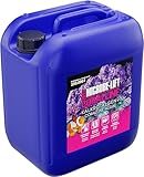 Microbe-Lift Coralline - 5 L - Kalkrotalgen-Booster zur Beschleunigung des Wachstums und...