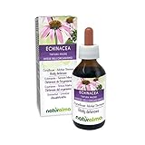 Sonnenhut (Echinacea angustifolia) Wurzeln Alkoholfreier Urtinktur Naturalma |...