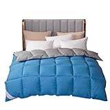 BOtizr Winter Duvet 240 X 220 cm,Warm Quilt,KöNig/Doppel/Einzel GrößE Weiß...