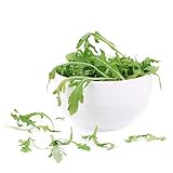 235 pcs kräuter rucola pflanzen samen - pflanze winterharte pflanzen für garten,Eruca...