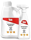 BugPower Anti Spinnen Spray 2 L - für innen & außen - hochwirksames Mittel gegen Spinnen...