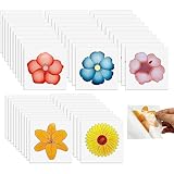 MIVAIUN 50 Pcs Fliegenfalle für Fenster, Fruchtfliegenfalle für Küche Blumenmuster,...