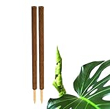 BigDean 2er Set Pflanzstäbe Kokos 110 cm - Monstera Rankhilfe Rankstäbe Stab Moosstäbe...