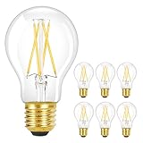 GBLY 6 Stück LED Glühbirne E27 Vintage Lampe - A60 Warmweiss Filament Leuchtmittel...