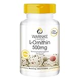 L-Ornithin Kapseln - 500mg L-Ornithin pro Kapsel - hochdosiert & vegan - 100 Kapseln -...