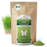 500g BIO Gerstengras Pulver aus DEUTSCHLAND, Rohkost-Qualität, aluminiumfreie Verpackung,...