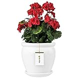 botle Blumentopf Blumenübertopf Weiß Blumenschale mit Untersetzer Rund DxH 280 mm x 305...