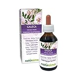 Geißraute (Galega officinalis) Kraut mit Blüten Alkoholfreier Urtinktur Naturalma |...