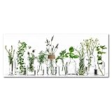 STYLER Küchenbild Herbs 30 x 80 x 0,4 cm I Glasbild mit Kräutern I Panaroma Wandbild...