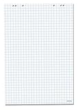 Herlitz 10834141 Flipchartblock, 68x99cm (kariert/gelocht), 10 Blöcke (20 Blatt je Block)