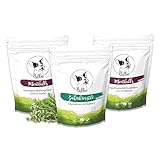 Hunde Leckerlis & Kaustangen Set Lamm Getreidefrei Hypoallergen Zuckerfrei Glutenfrei...