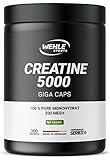 Creatin Kapseln hochdosiert, Workout Booster, 5000 mg Creatin Monohydrat pro Tagesdosis,...