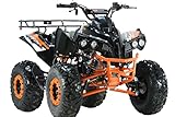 RV-Parts 125ccm Quad ATV Kinder Pitbike 4 Takt Motor Quad ATV 8 Zoll KXD ATV 008 Orange