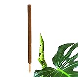 BigDean Pflanzstab Kokos 110 cm - Monstera Rankhilfe Rankstab Stab Moosstab Pflanzenstab...