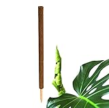 BigDean Pflanzstab Kokos 110 cm - Monstera Rankhilfe Rankstab Stab Moosstab Pflanzenstab...