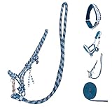 netproshop Longierzubehör Thunderbolt Longe Kappzaum Gurt Halfter Blau-Weiss für Mini...