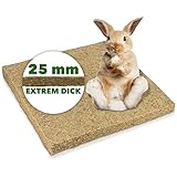 Nagerteppich Outdoor waschbar aus Hanf 40x40cm, extrem stark, 25mm dick, 1 Stück...