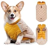 Hundemantel Winter Wasserdicht Hundejacke,CIYIN Hundejacke Wasserdicht,Warme Hundejacke...