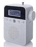 NEWTRO DAB STECKDOSENRADIO MIT BEWEGUNGSMELDER INKL. AKKU, portabler Radio, ideales...