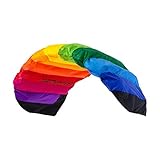 Wolkenstürmer® Paraflex Basic 2-Leiner Lenkmatte 1.2 Rainbow - Kite Drachen mit...